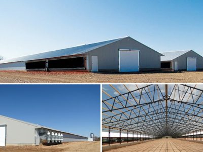 galpones-buildings-2.jpg galpones-buildings-2.jpg